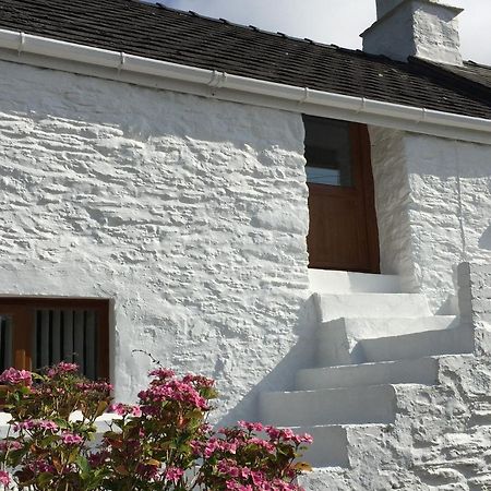 Little Barn Cottage Newport  Luaran gambar