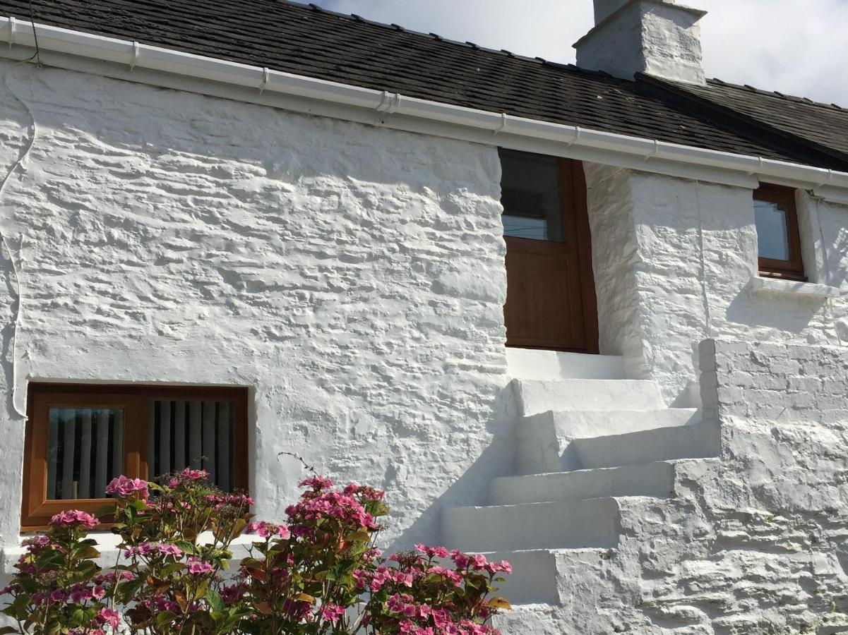 Little Barn Cottage Newport  Luaran gambar